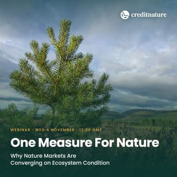 Cover Image for One Measure For Nature: Why Nature Markets Are Converging on Ecosystem Condition