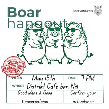 Cover Image for BoarHangout Niš