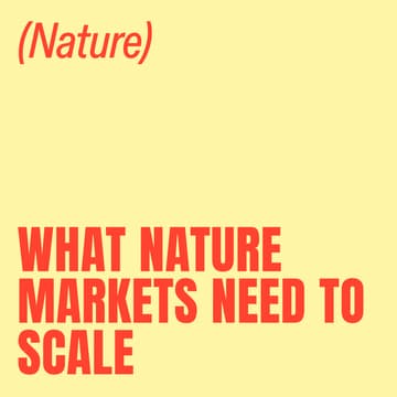 Cover Image for What Nature Markets Need to Scale