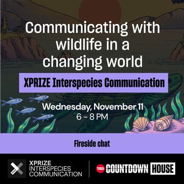 Cover Image for Communicating with wildlife in a changing world: XPRIZE Interspecies Communication