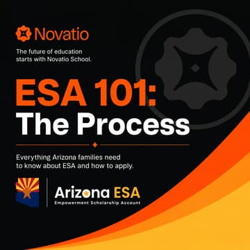 Cover Image for ESA 101: The Process