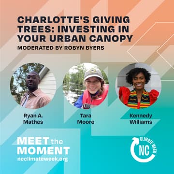 Cover Image for Charlotte's Giving Trees: Investing in Your Urban Canopy