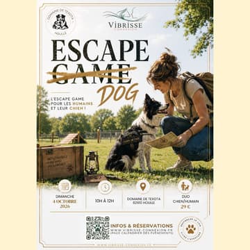 Cover Image for 🐾 Escape Dog au Domaine de Texota – Une aventure à vivre avec ton chien !🐕