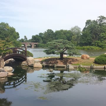 Cover Image for Volunteer with Wooded Island (Volunteering Untapped Chicago)