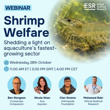Cover Image for Shrimp Welfare: Shedding light on aquaculture's fastest-growing sector