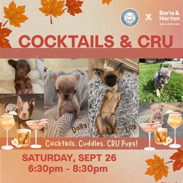 Cover Image for Cocktails and CRU