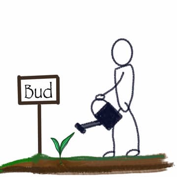Cover Image for Facilitator Development Programme (FDP) - Buds