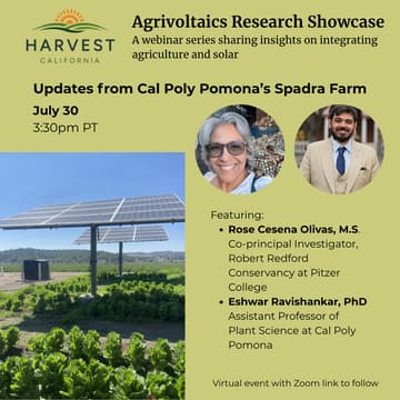 Cover Image for Agrivoltaics Research Showcase: Updates from Spadra Farm
