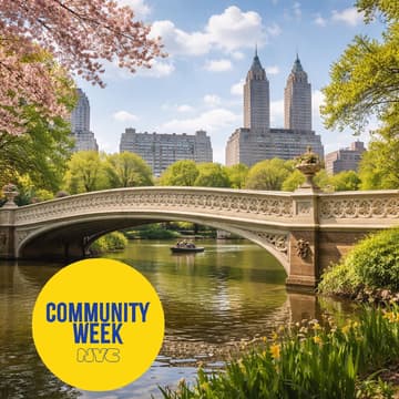 Cover Image for The Attention Landscape - A Central Park Walk