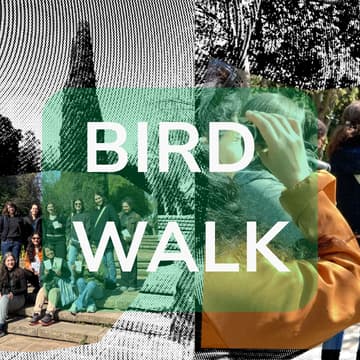 Cover Image for Bird Walk: Jardines de Pedralbes