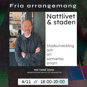 Cover Image for Nattlivet och staden: Stadsutveckling och att samverka smart
