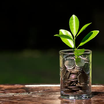 Cover Image for Fireside Chat: Investing and Ecosystems for Growth