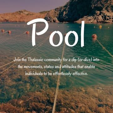 Cover Image for Thalassio - Pool