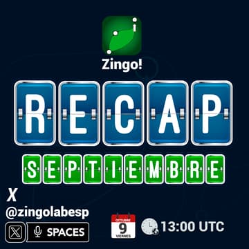 Cover Image for Zingo! Recap