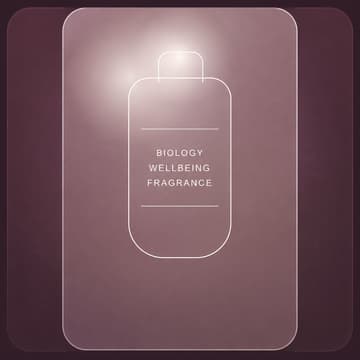 Cover Image for Fragrance: The Invisible Signature