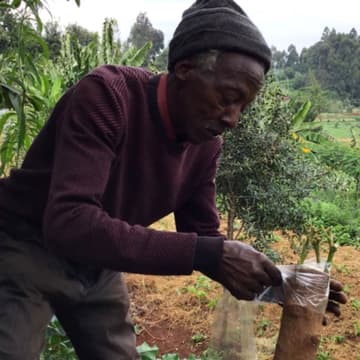 Cover Image for Grafting & Pruning - with Kamiti