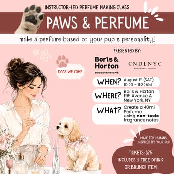 Cover Image for Paws and Perfume