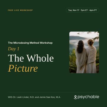 Cover Image for The Microdosing Method Workshop, Day 1: The Whole Picture