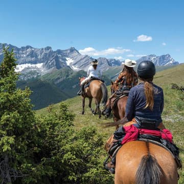 Cover Image for Horseback Riding Adventure