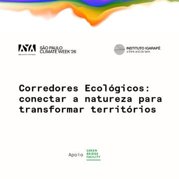 Cover Image for Instituto Igarapé & AYA | Corredores Ecológicos: conectar a natureza para transformar territórios