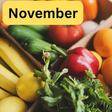 Cover Image for Produce Packing