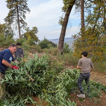Cover Image for FREE Green Waste Disposal Day for WUI Residents!