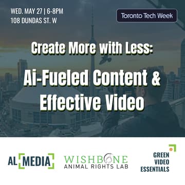 Cover Image for Create More with Less: AI-Fueled Content & Effective Video