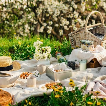 Cover Image for 🧺Offline Women Picnic