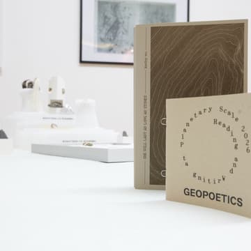 Cover Image for IN A COLLAPSE OF THE EARTH| exhibition closing event