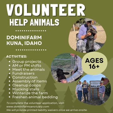 Cover Image for Dominifarm Work Day