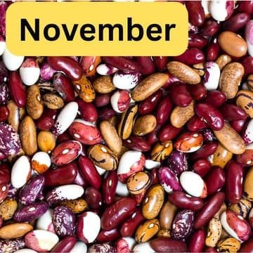 Cover Image for Bulk Packing Night