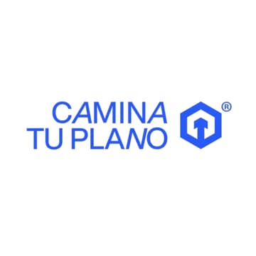 Cover Image for Camina tu plano
