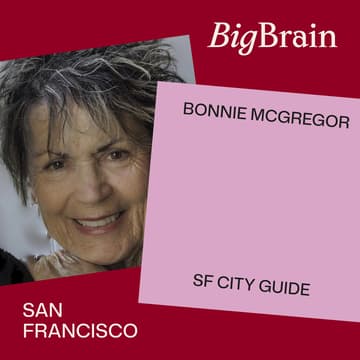 Cover Image for San Francisco, Uncovered: The Castro