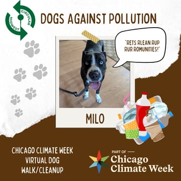 Cover Image for Dogs Against Pollution Virtual Walk and Clean-Up!