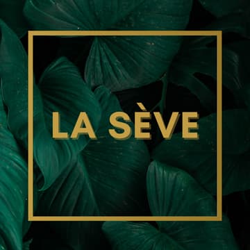 Cover Image for Réapprendre le consentement