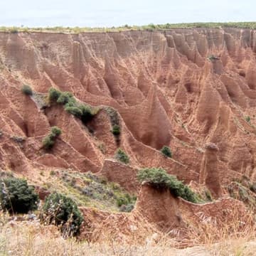 Cover Image for (free women only hike): Las Carcavas (moderate)