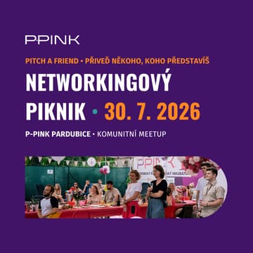 Cover Image for PIKNIK 3: Summer Business Meetup ☀️