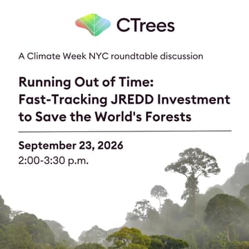Cover Image for Running Out of Time: Fast-Tracking JREDD+ Investment to Save the World's Forests
