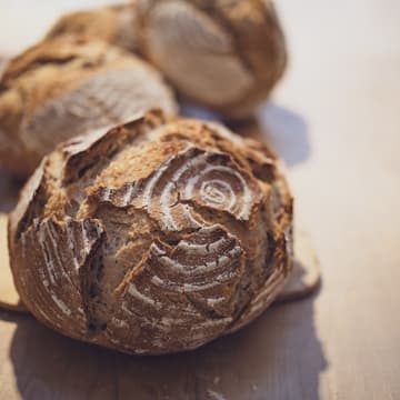 Cover Image for Einfach Brot - Einstieg ins Brotbacken
