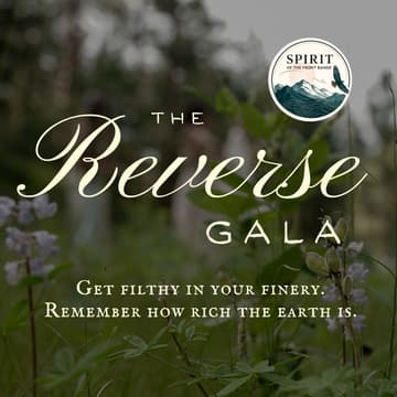Cover Image for Reverse Gala: A Saturnalian Fundraiser!