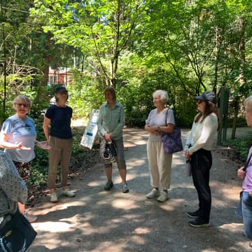 Cover Image for Mindfulness Walk in Pioneer Park