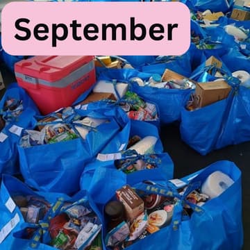 Cover Image for Essentials Packing
