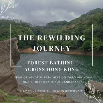 Cover Image for The Rewilding Journey: Forest Bathing Across Hong Kong