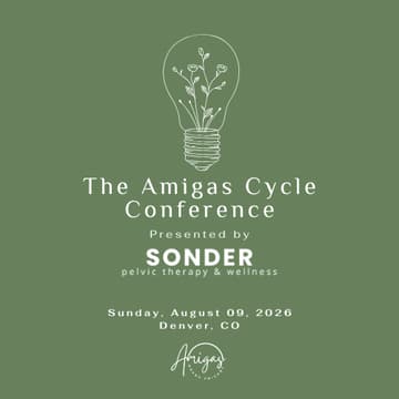 Cover Image for The Amigas Cycle Conference