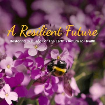 Cover Image for A Resilient Future Premiere