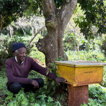 Cover Image for Introduction to Beekeeping - with Kamiti