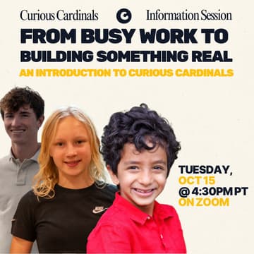 Cover Image for Introduction to Curious Cardinals