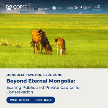 Cover Image for Beyond Eternal Mongolia: Scaling Public and Private Capital for Conservation