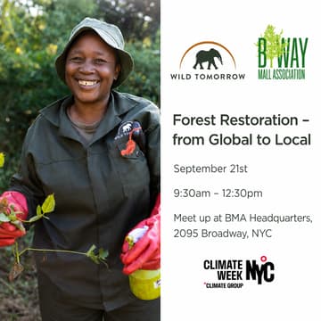 Cover Image for BMA x Wild Tomorrow: Forest Restoration – from local to global