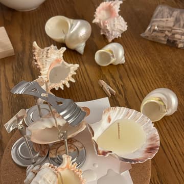 Cover Image for Shell Candle 🐚